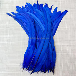 Ağartılmış boyalı 12-14 inç horoz kuyruk tüyler 30-35 cm horoz tüyler düğün festivali parti süslemeleri için el sanatları DIY karnaval - Product Image 3