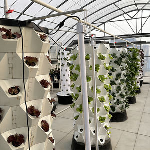 Skyplant - Sistemas de Cultivo Interior Mejorados, Cultivo Agrícola sin Suelo, Torre de Cultivo Hidropónico Vertical, Torre de Piña - Product Image 5