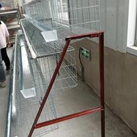 Nouveau un Type Cages à poulet de couche de batterie Système automatique d'équipement d'élevage de volaille d'oeufs en acier galvanisé
