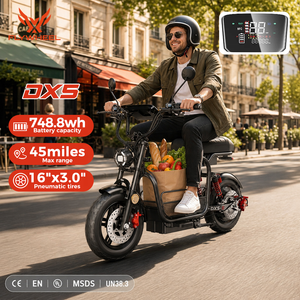 Scooter Eléctrico Flywheel DX5 con Asiento, Estilo Ciclomotor, Doble Suspensión, Frenos de Disco - Product Image 1