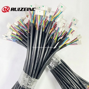 Pemasok perakitan kabel profesional kualitas baik 2 Pin harnes kabel peralatan kustom Terminal - Product Image 1