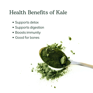 Grosir bubuk Kale kering beku organik bubuk Super bubuk organik - Product Image 4