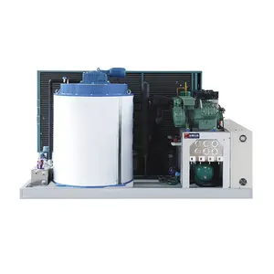 1000kg 10t 20t 25 ton flake ice Compact Portable OEM & ODM Air Cooling flake Ice Maker Making Machine with International