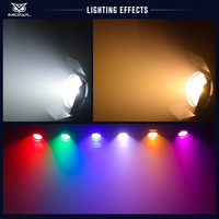 Projecteur LED COB 300W DMX à lentille Fresnel avec zoom manuel et automatique pour scène, théâtre et studio