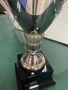 Bol en acier inoxydable, grand, disponible en 9.5, 10.5, 12.5, 14, 16, 17 - Product Image 4