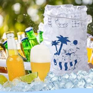 Bolsas de plástico biodegradables para cubitos de hielo, embalaje de 1Kg, 2Kg, 10Kg, 20 Libras con cordón - Product Image 6