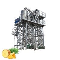 Ananassap productielijn, ananasjam verwerkingslijn, ananas dranken productielijn