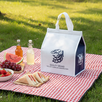 Sac isotherme réutilisable extra large et robuste en non-tissé imperméable de 30 L avec fermeture éclair pour courses et courses alimentaires