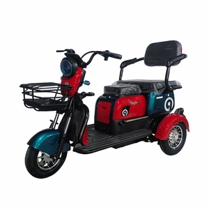 Tricycle électrique 800W, petit scooter familial, tricycle électrique à trois places réglable, homologué EEC - Product Image 3