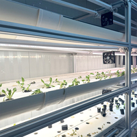 Conteneur de culture de légumes-feuilles avec système de plantation hydroponique NFT