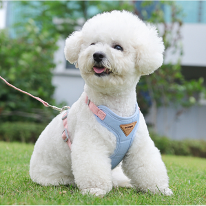 Grosir harnes hewan peliharaan kualitas tinggi Set tali kekang anjing kecil bersirkulasi musim panas rompi anjing mewah Harness Logo kustom - Product Image 6
