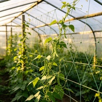 Filet de treillis robuste en PEHD résistant aux intempéries pour la croissance des plantes, support portable pour légumes et plantes grimpantes, pour serres agricoles