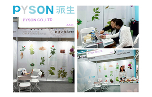 100% natura Cell-Rotto In Supplemento di Salute Interruzione Shell-Rotto Polline di Pino In Polvere 10% di Proteine - Product Image 3