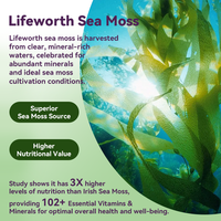 Complément alimentaire immunitaire végétalien Lifeworth Private Label Bladderwrack Burdock Root Vitamin Irish Sea Moss Gummies