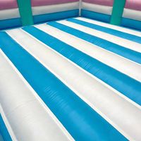 Château gonflable géant personnalisé en tissu Oxford pour enfants, idéal pour l'intérieur et l'extérieur, fabriqué en usine (OEM)
