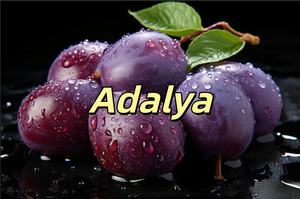 Crema con Sabor a Frutas <span class=keywords><strong>Adalya</strong></span> 1000g 50g para Shisha Hookah - Product Image 4