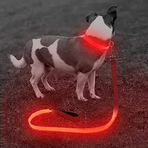 مقود كلب-USB-مقود كلب-متوهج-تضيء الرصاص الجرو للمشي الليلي للكلاب