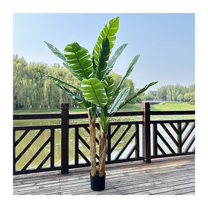 <span class=keywords><strong>Bananier</strong></span> QYYM-526 - Product Image 4