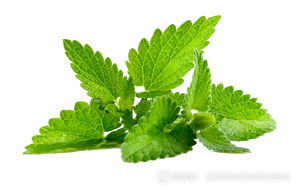 PURE NATURAL 100% CONCENTRADO CONGELADO JUGO <span class=keywords><strong>DE</strong></span> <span class=keywords><strong>MENTA</strong></span> para bebidas jugo té <span class=keywords><strong>DE</strong></span> BRC FACTORY - Product Image 6