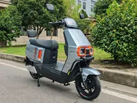 Moto électrique à succès 1000-2000W, cyclomoteur électrique 60V/72V