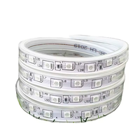 Bande lumineuse LED intelligente Tuya App Control 220V 12mm IP67 en cuivre pour aménagement paysager, 96 LED/m RGB Epistar 20W, dimmable
