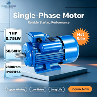 Moteur monophasé à condensateur 0,75 kW 1 CV 2 pôles, en fonte, à démarrage facile, norme IE1, 220 V 50/60 Hz, entretien simplifié