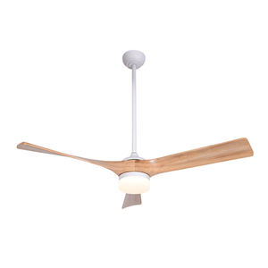 Ventilador de Techo BLDC al por Mayor con Tecnología de Ventilación, Ventilador de Techo Moderno de 3 Aspas con Luz LED Regulable y Control Remoto - Product Image 1