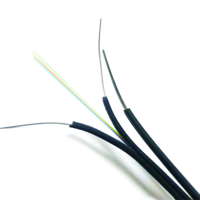 Kabel Drop FTTH 1 2 4 Core Berkualitas Tinggi, Kabel Serat Optik Single Mode untuk Penggunaan Dalam dan Luar Ruangan