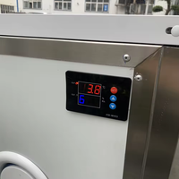 Hoogwaardig Energiebesparend Fruit Agrarisch Voedsel Fruit Mango Groentevis Zonnedroger Mobiele Draagbare Zonnedroger
