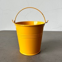 Ember Timah Warna-warni 10cm Tahan Lama, Ember Mini Terbaru, Pot Tanaman Meja, Pot Bunga Dekorasi Rumah Warna Permen