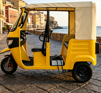 Véhicule Taxi Électrique à Trois Roues Conforme CEE, Expédition SKD, Moteur Magnétique en Acier 4000W pour Importation et Approvisionnement de Gros Volume
