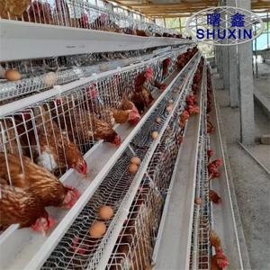 Cage à poules pondeuses pour élevage avicole, batterie de 120 cages à poulets pour l'élevage de poulets - Product Image 3