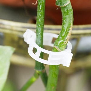 Clips de Plástico Blanco para Soporte de Plantas, Uso Agrícola, Clips Circulares para Enredaderas, Soporte para Tomates - Product Image 1