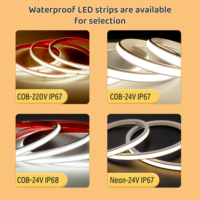 Bande lumineuse LED flexible en PVC pour extérieur, 110V/220V, COB, 50m, 100m, 288 LED, IP65, étanche, avec prise, CRI90, 2700K, blanc chaud, dimmable