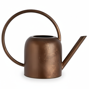 Arrosoir en métal Mini petit pot de pulvérisation d'eau avec buse détachable Arrosoir en métal intérieur et extérieur - Product Image 1