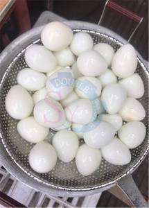 Máquina peladora de huevos de codorniz de acero inoxidable, equipo eléctrico de pelado de codorniz pequeño, precio al por mayor - Product Image 6