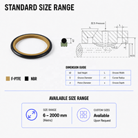 DYN Hallite SSR Seal Putar Ganda Bertenaga O-Ring dengan Cincin Wajah PTFE+NBR untuk Sambungan Putar Tengah Hidrolik Excavator