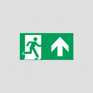 Uscita di emergenza segno freccia sinistra-100 in PVC luminescente * 200 mm - Product Image 2