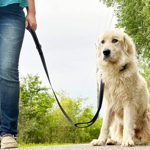 Laisse pour chien robuste avec amortisseur et 2 poignées, laisse anti-traction absorbant les chocs avec ceinture de sécurité pour la voiture, idéale pour l'entraînement - Product Image 6