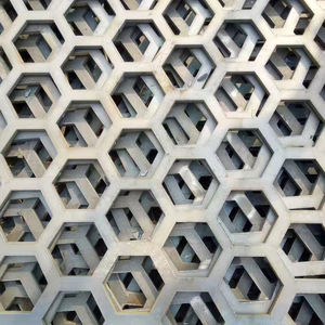 Fabriksprijs Dikte 1/3mm 304/316 RVS Gaaspanelen, Metaalbeschermingsnet, Geperste Metaalplaat - Product Image 3