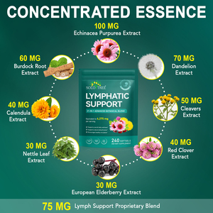 SOLOTREE专业淋巴系统支持用蒲公英牛蒡补充高级淋巴引流软胶囊 - Product Image 2