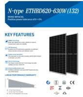 Panneaux solaires bifaciaux EITAI Long Life n Type 620W 625W 630W 600W à double vitrage, grands panneaux solaires pour usage domestique et résidentiel