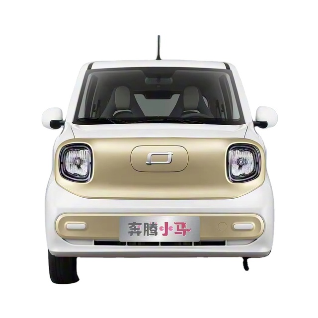 Budget-friendly FAW Besturn Pony EV Urban Commute