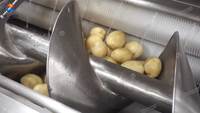 Automatische machine voor het schillen, wassen en snijden van verse aardappelen, productielijn voor frieten of gegolfde verse aardappelproductie