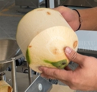 Automatische Groene Kokosnoot Schilmachine Commerciële Kokosnoot Onthusking Machine Groene Kokosnoot Dunschiller