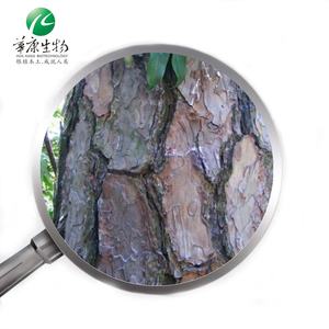 Estratto di corteccia di pino Pinus Pinaster estratto di corteccia <span class=keywords><strong>95%</strong></span> OPCs - Product Image 2