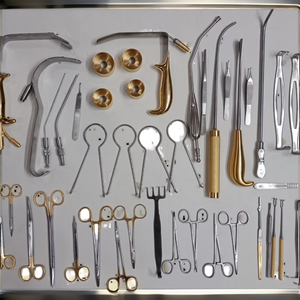 Ensemble d'instruments de chirurgie mammaire, mammoplastie, 30 pièces, instruments de chirurgie plastique, acier inoxydable allemand, augmentation mammaire manuelle - Product Image 2