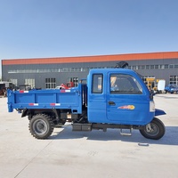 Nouveautés : Tricycle motorisé à moteur diesel à trois roues, petit camion benne basculante pour le transport de fruits, à moteur palmier