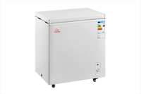 Meilleur prix économie d'énergie 100L Mini congélateur à porte unique Nouveau modèle de congélateur coffre pour le stockage d'aliments pour animaux de compagnie à usage domestique