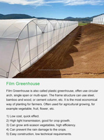 Serre agricole/commerciale/multi-spans de 10 000 m2 en film/Po/PE/plastique avec système hydroponique/irrigation goutte à goutte